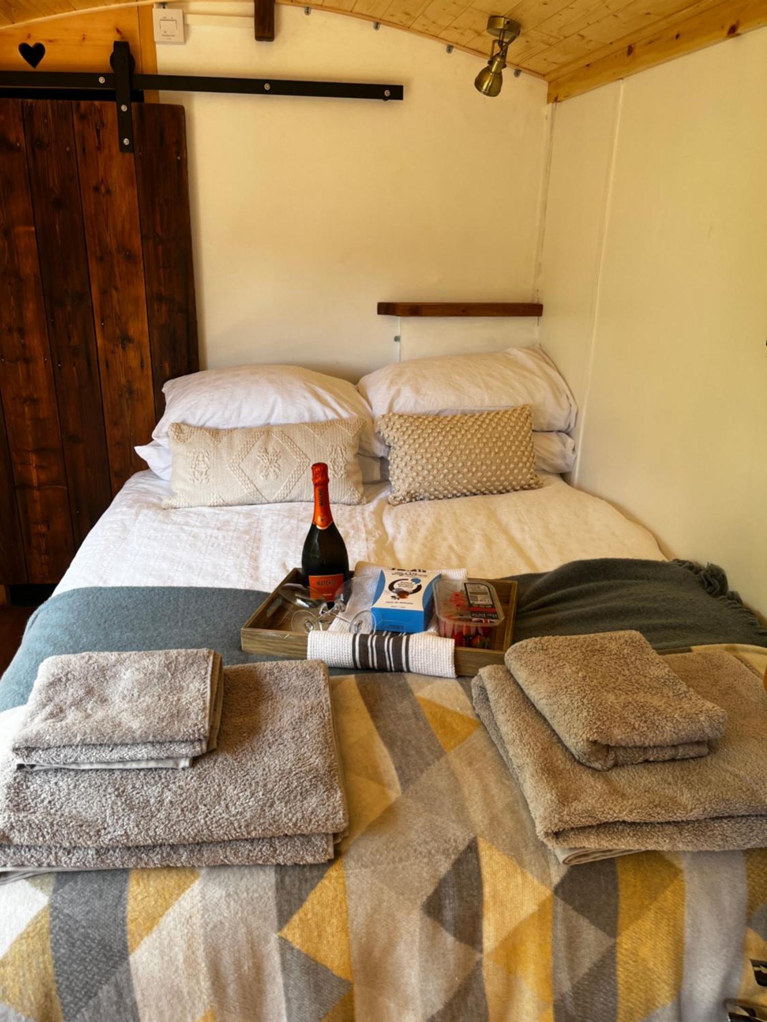 Little Dolwen - Sioned Apartment Llanwenog